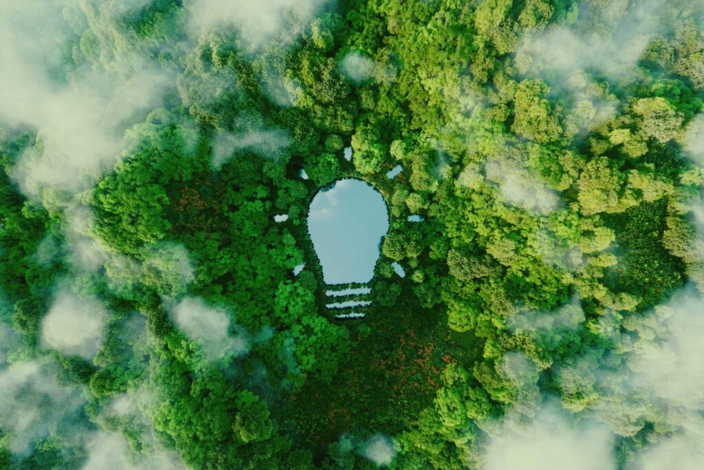 lightbulb imprint in forest